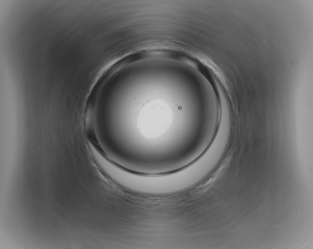 X0000112151089200908071111