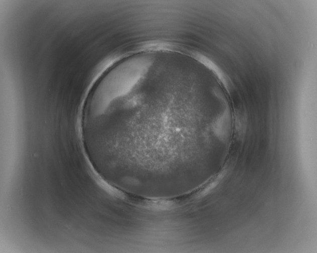 X0000112151090200908071111