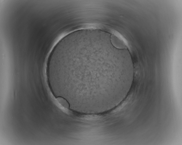 X0000112151091200908071111