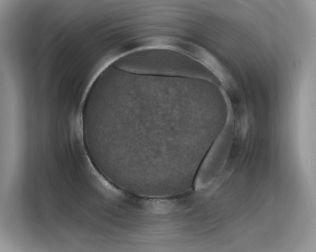 X0000112151092200908071111
