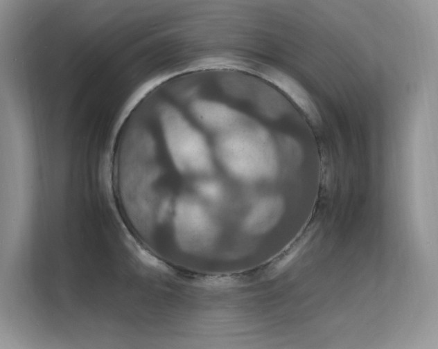 X0000112151094200908071111