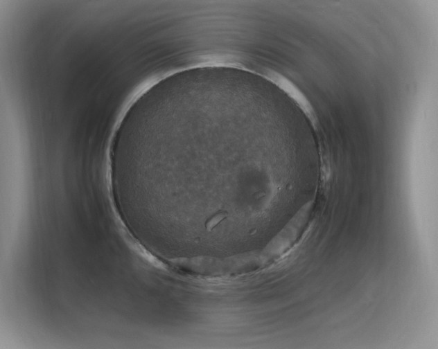 X0000112151096200908071111