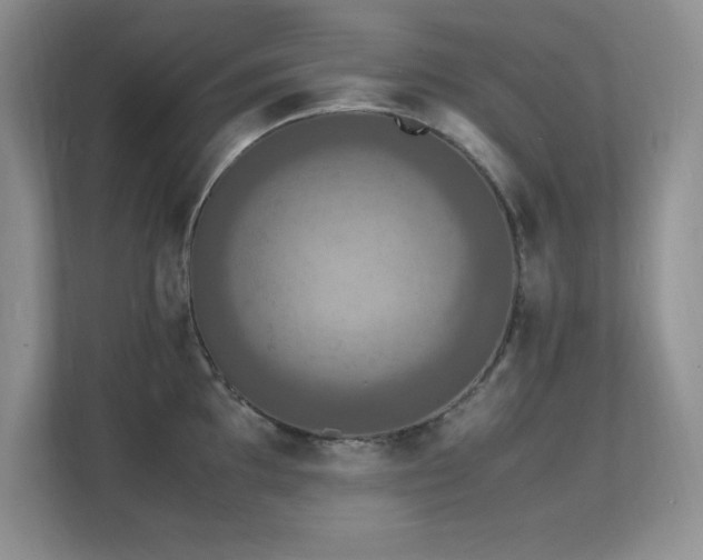 X0000112151097200908071111