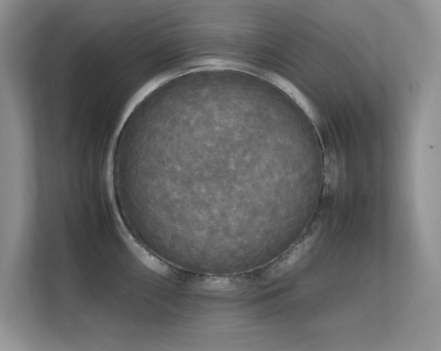 X0000112151098200908071111