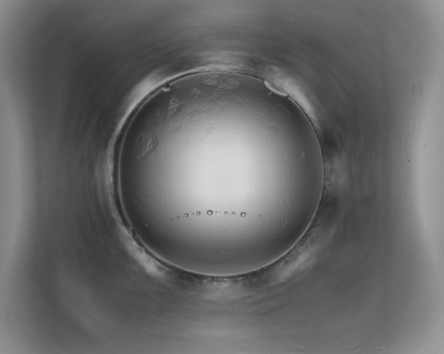 X0000112151099200908071111