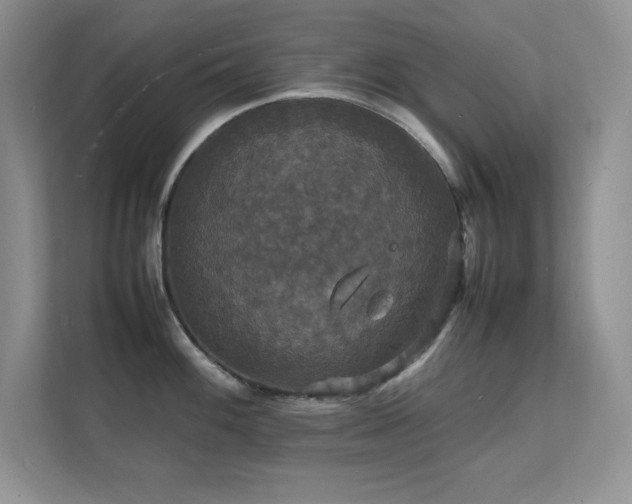 X0000112151100200908071111