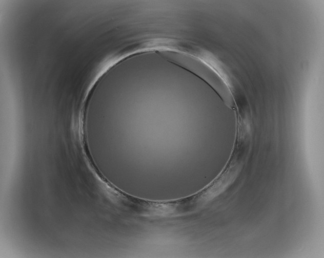 X0000112151101200908071111