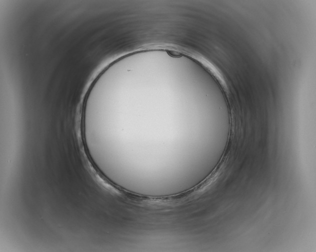 X0000112151102200908071111