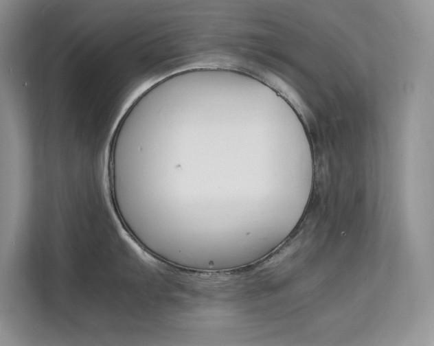 X0000112151103200908071111
