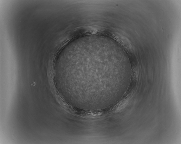 X0000112151105200908071110