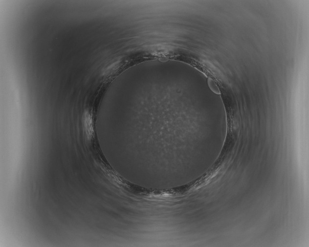 X0000112151106200908071110