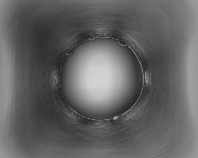 X0000112151107200908071110