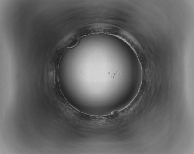 X0000112151111200908071110