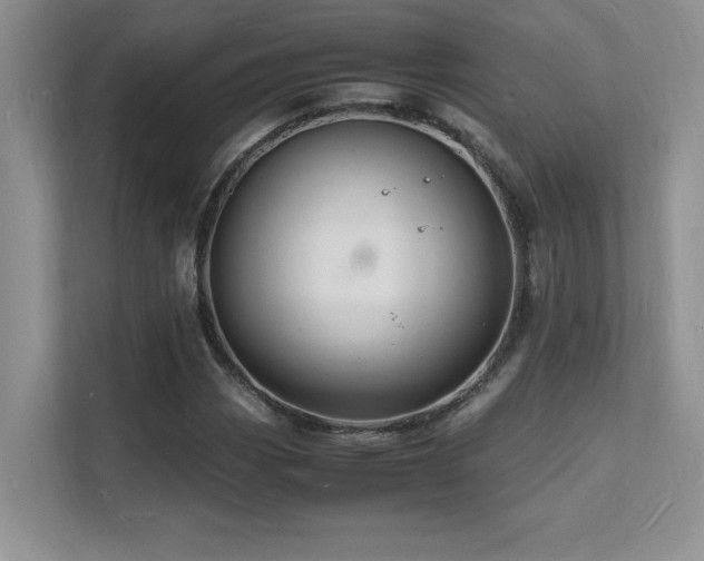 X0000112151113200908071110