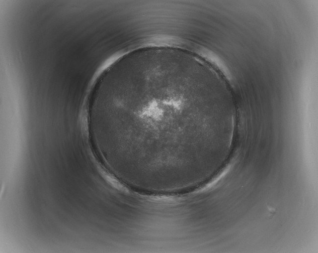 X0000112151114200908071110