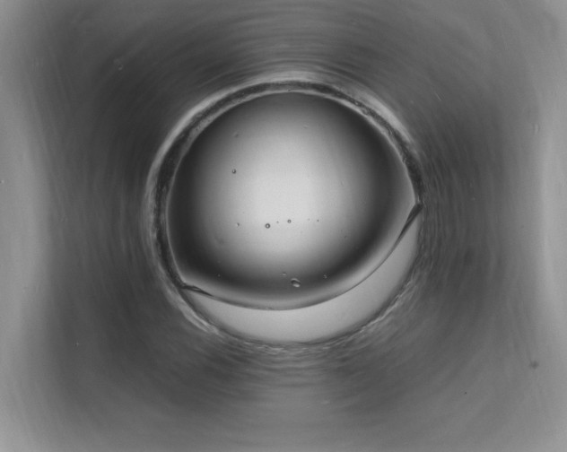 X0000112151116200908071110