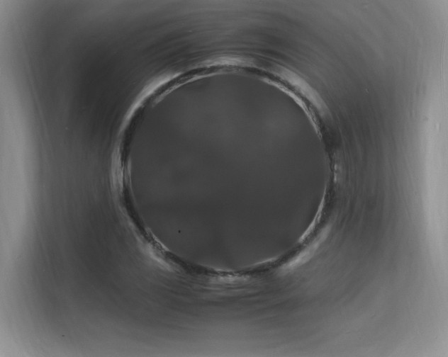 X0000112151117200908071110