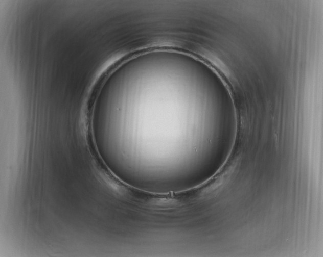 X0000112151119200908071110