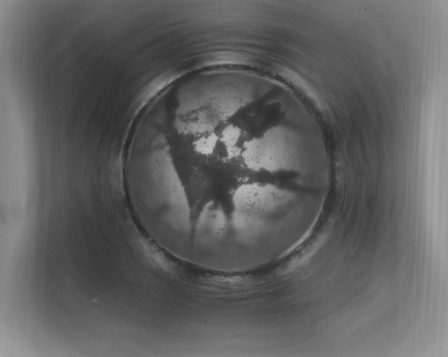 X0000112151121200908071110