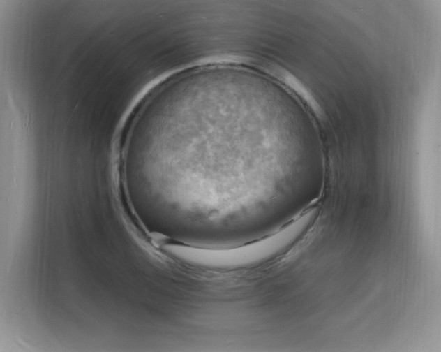 X0000112151124200908071110
