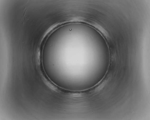 X0000112151126200908071110