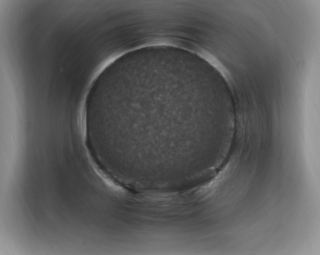X0000112151127200908071110