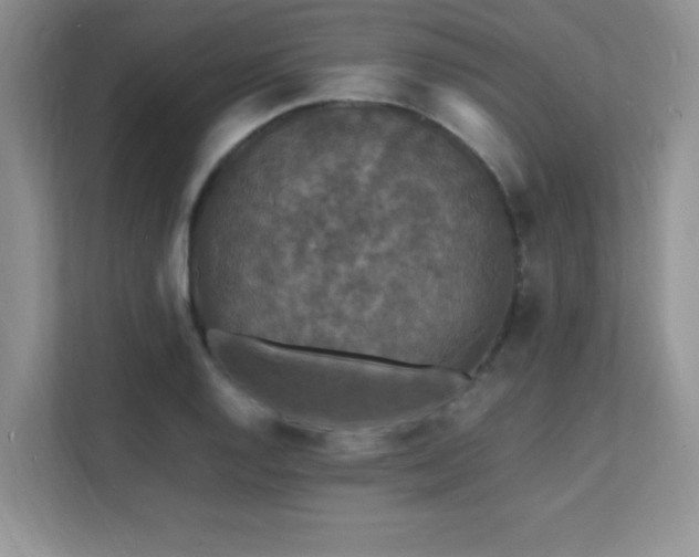 X0000112151128200908071110