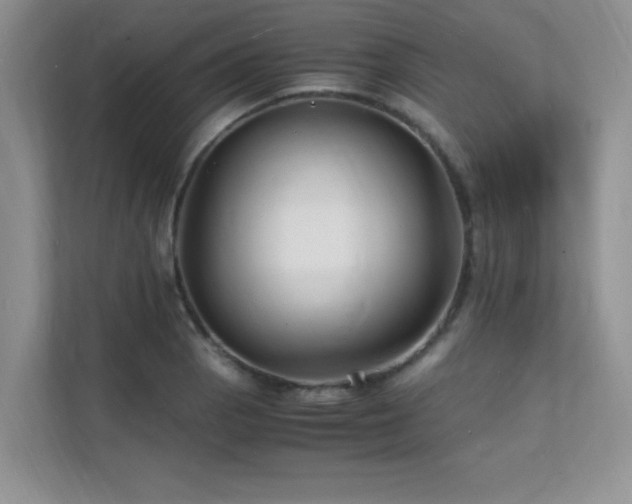 X0000112151129200908071110