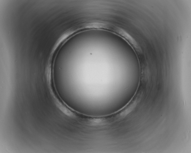 X0000112151130200908071110