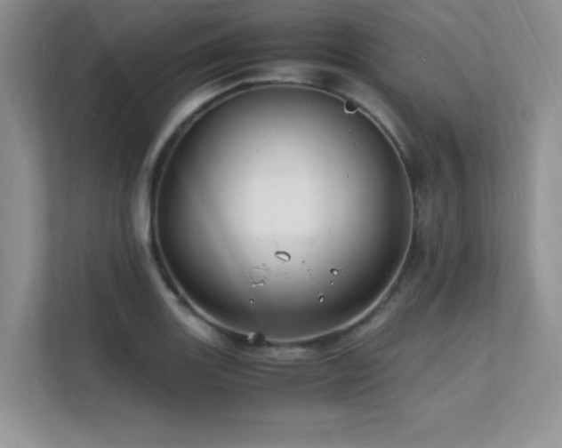 X0000112151131200908071110