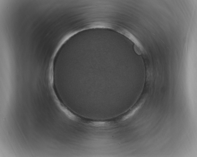 X0000112151132200908071110