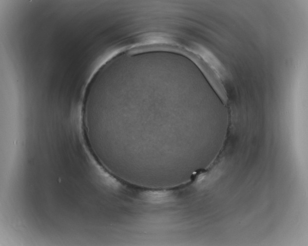 X0000112151134200908071111