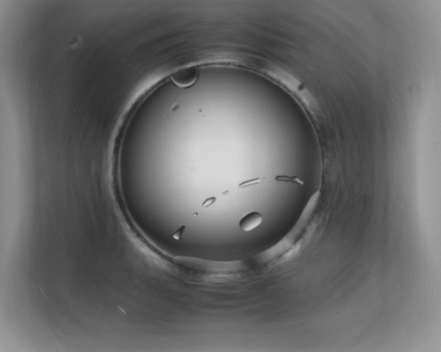 X0000112151135200908071111