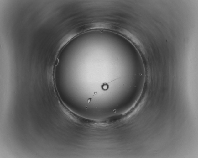 X0000112151137200908071111