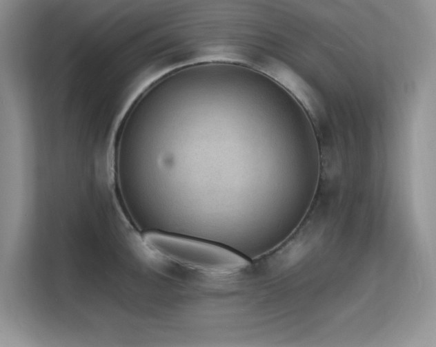 X0000112151140200908071111