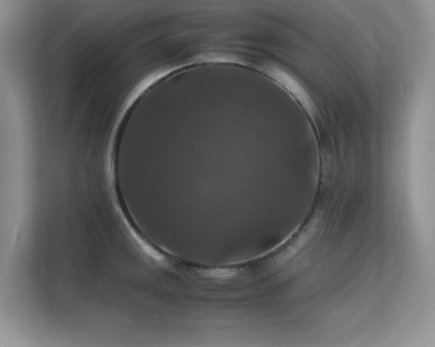 X0000112151141200908071111