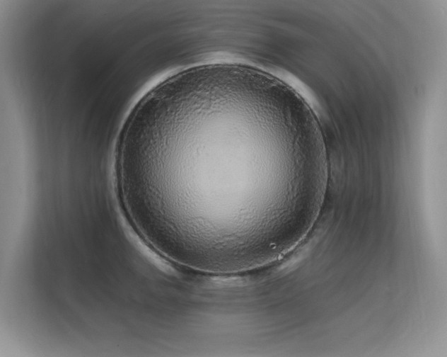 X0000112151142200908071111