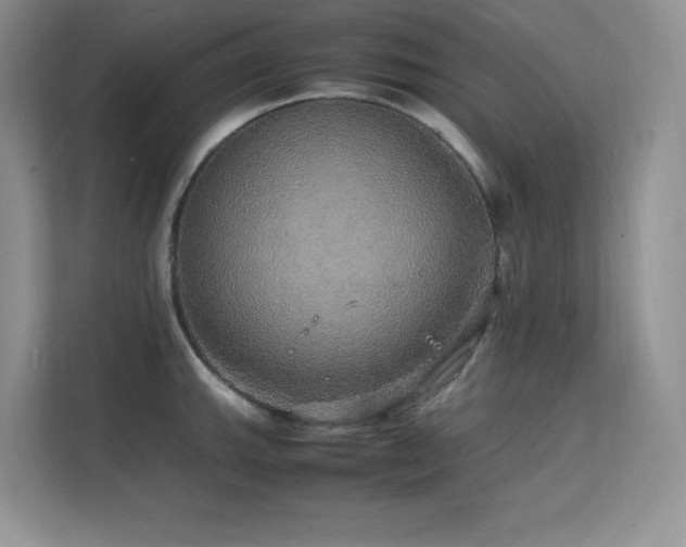 X0000112151143200908071111