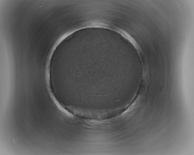 X0000112151144200908071111