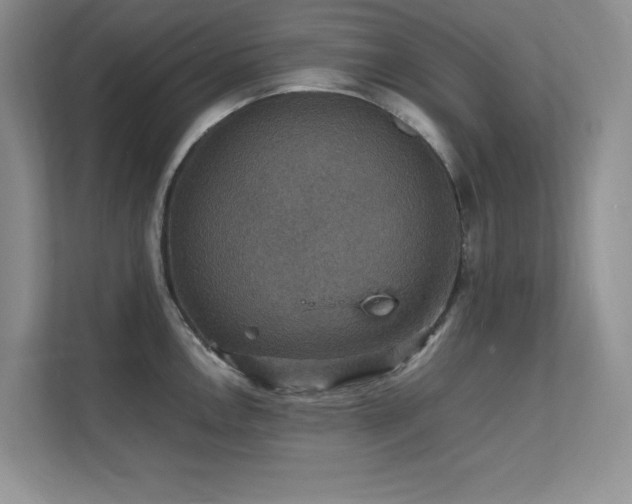 X0000112151146200908071111