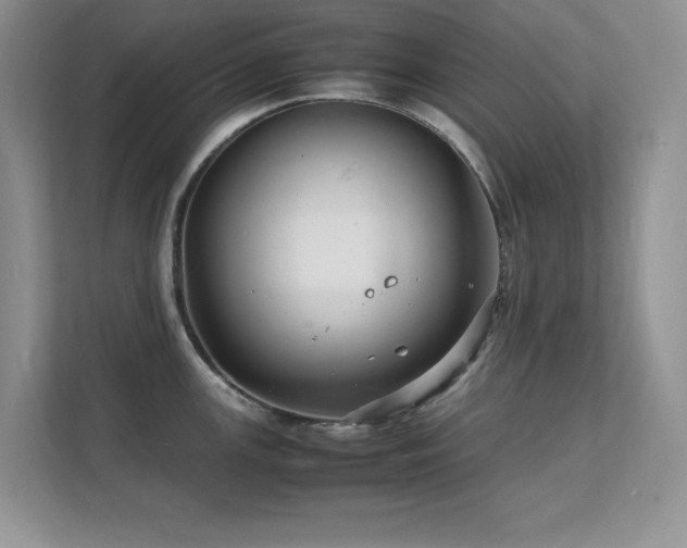 X0000112151147200908071111