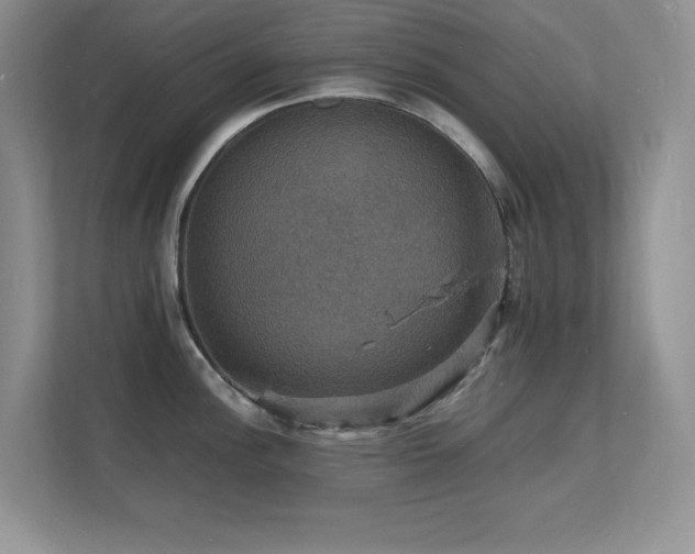 X0000112151148200908071111