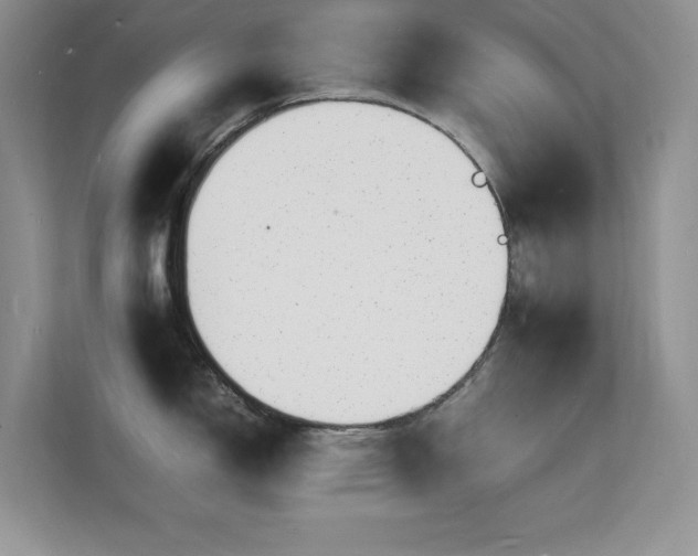 X0000112151150200908071111