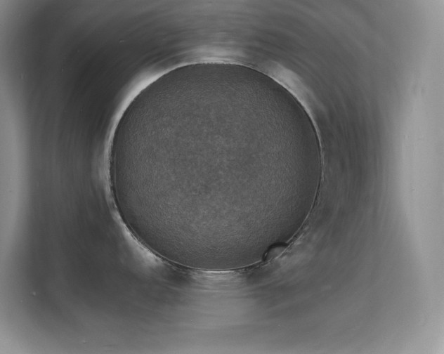 X0000112151152200908071111