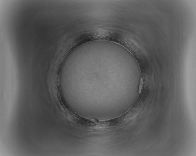X0000112151153200908071110