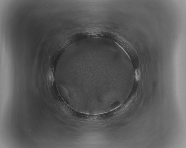 X0000112151155200908071110
