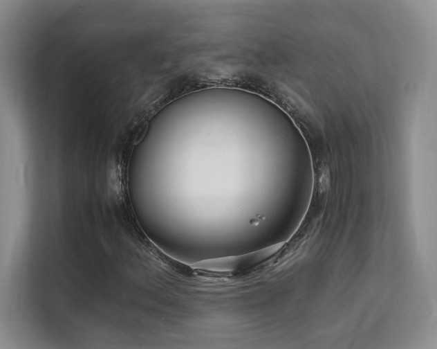 X0000112151156200908071110