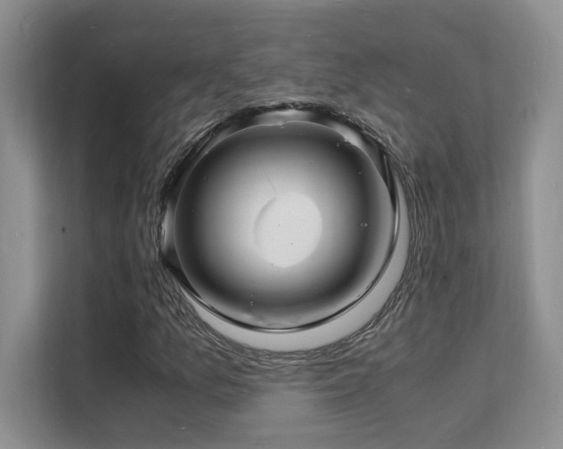 X0000112151157200908071110