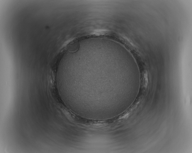 X0000112151158200908071110