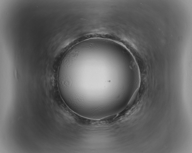 X0000112151159200908071110